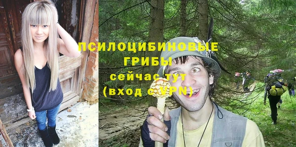 ALPHA PVP Кулебаки