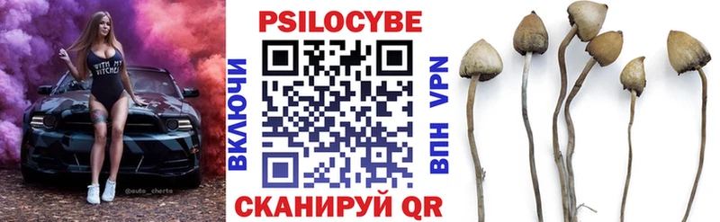 Псилоцибиновые грибы GOLDEN TEACHER  darknet официальный сайт  Малгобек 