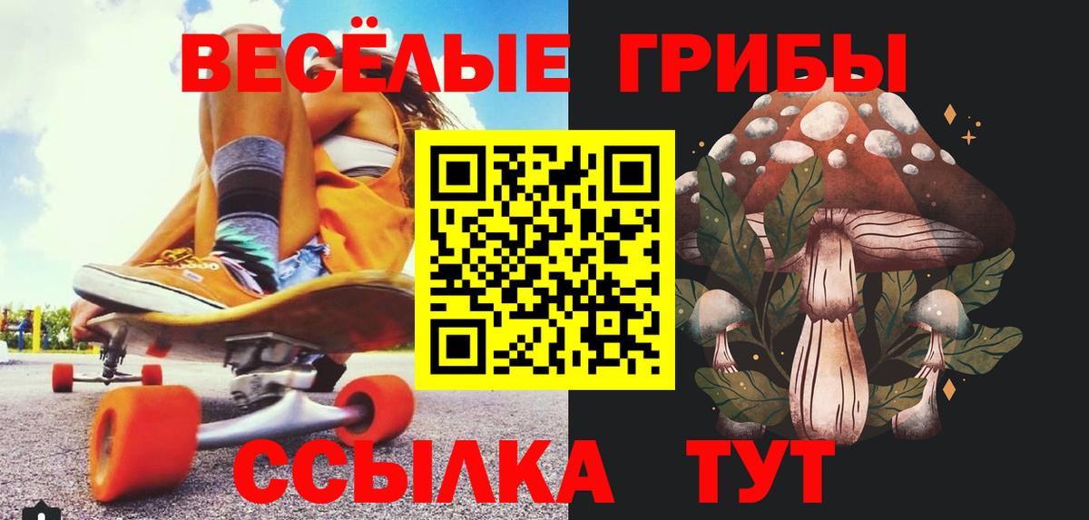 Малгобек  Псилоцибиновые грибы ЛСД  Вход с VPN 